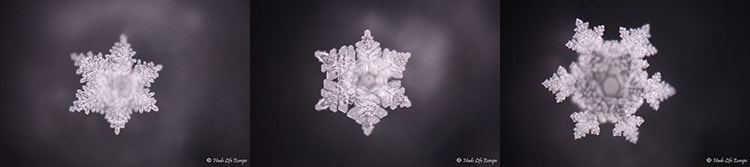 Masaru Emoto pictures of water crystals treated with AQwaVit Water Vitaliser